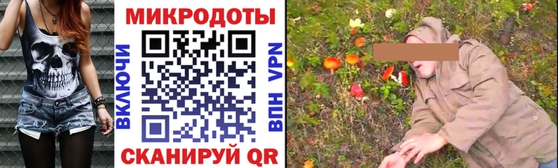 Галлюциногенные грибы MAGIC MUSHROOMS  Цоци-Юрт 